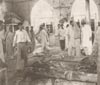 image\eventpic\SindhMadressa\small\ummat4.jpg